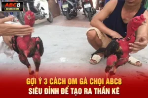 cách om gà chọi